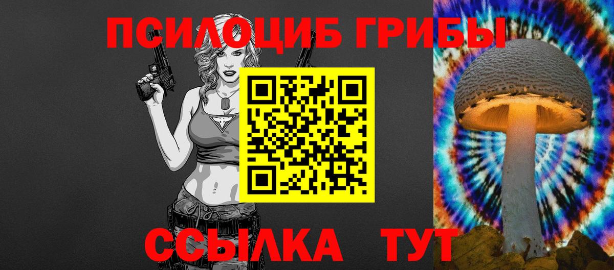 Галлюциногенные грибы Psilocybine cubensis  Вход с VPN  Городец 